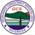 Geoscience Consultancy Services